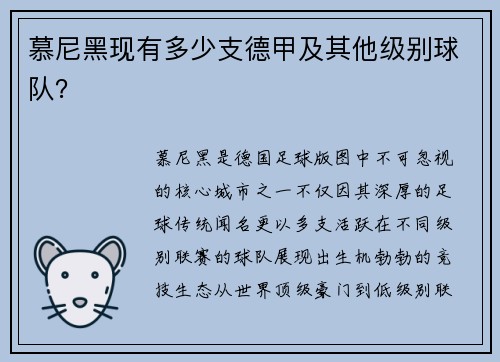慕尼黑现有多少支德甲及其他级别球队？