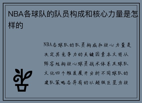 NBA各球队的队员构成和核心力量是怎样的